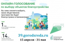 Онлайн-голосование по выбору объектов благоустройства в Калининграде