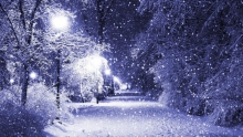 «Зима — пора чудес»: литературные посиделки