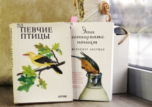 «Вишнёвый сад: подарок для птичек»: мастер-класс по изготовлению кормушек для птиц