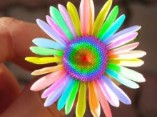 "Цветики-семицветики". Мастер-класс по работе с акварелью, восковым карандашом, создание обрывной аппликации.