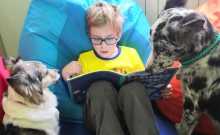 Проект «Дети читают собакам» в «Чеховке»