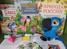 Литературно-игровая программа «Удивительный мир птиц»