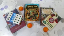 Книжные сливки: 44. Пять книг о Новом годе и ёлочных игрушках